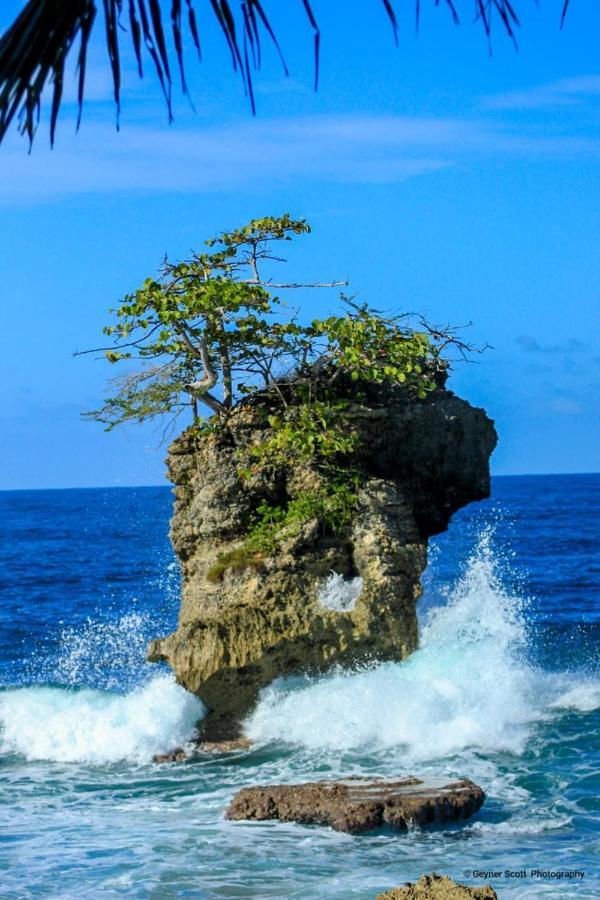 Cabinas Mitchaelle'S Puerto Viejo de Talamanca Buitenkant foto