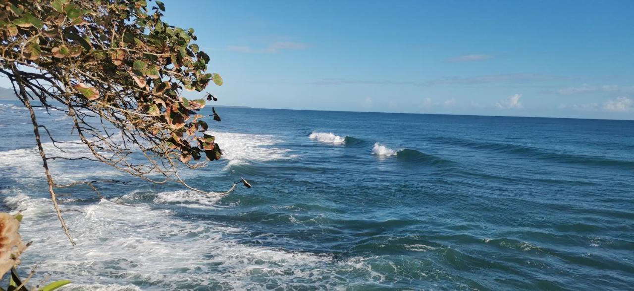 Cabinas Mitchaelle'S Puerto Viejo de Talamanca Buitenkant foto